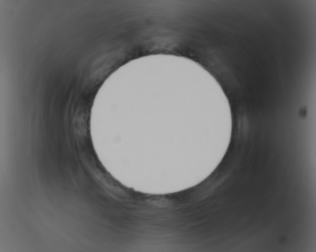 X0000115761250200912241722