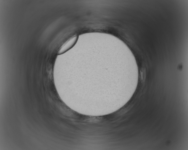 X0000115761251200912241722