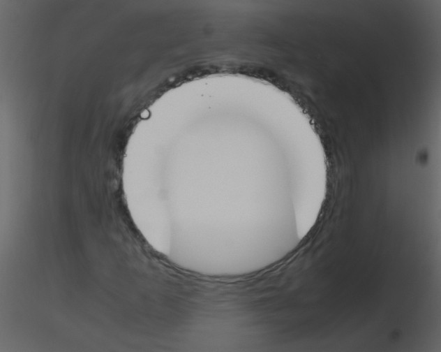 X0000115761253200912241721