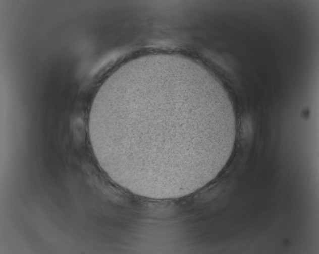 X0000115761254200912241721