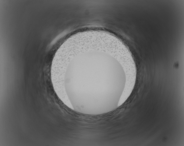 X0000115761255200912241721