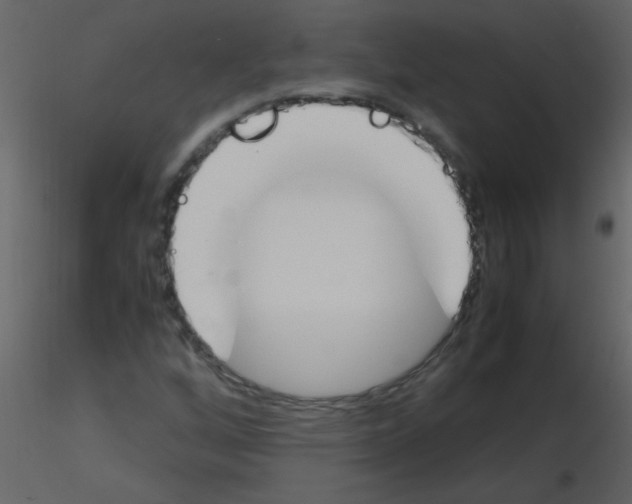X0000115761256200912241721