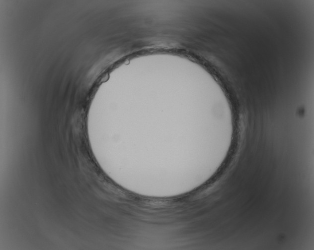 X0000115761257200912241721