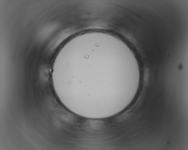 X0000115761258200912241721
