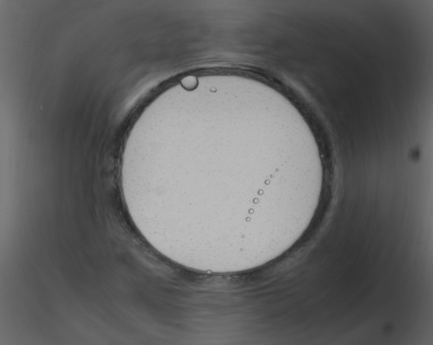 X0000115761259200912241721