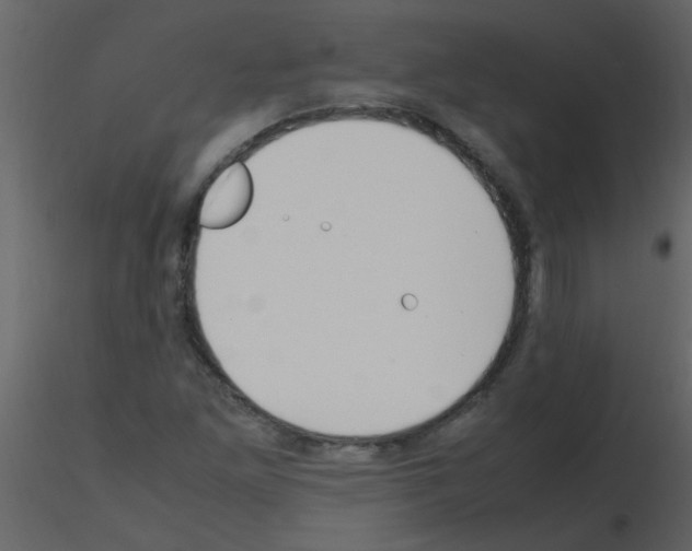 X0000115761261200912241721