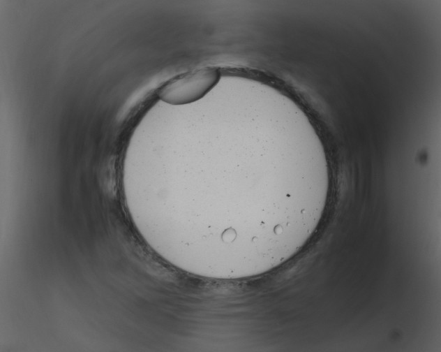 X0000115761262200912241721