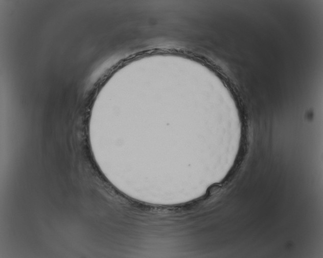 X0000115761263200912241721