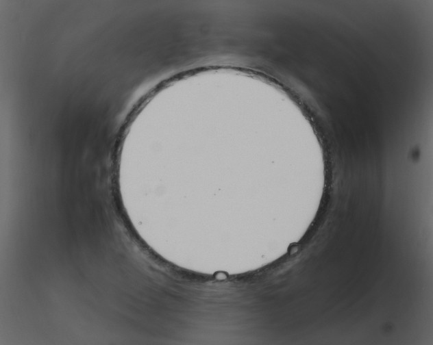 X0000115761264200912241721