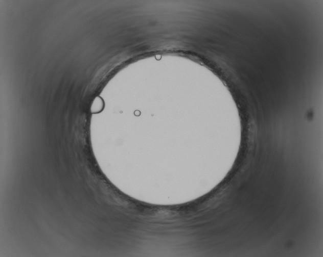 X0000115761265200912241721