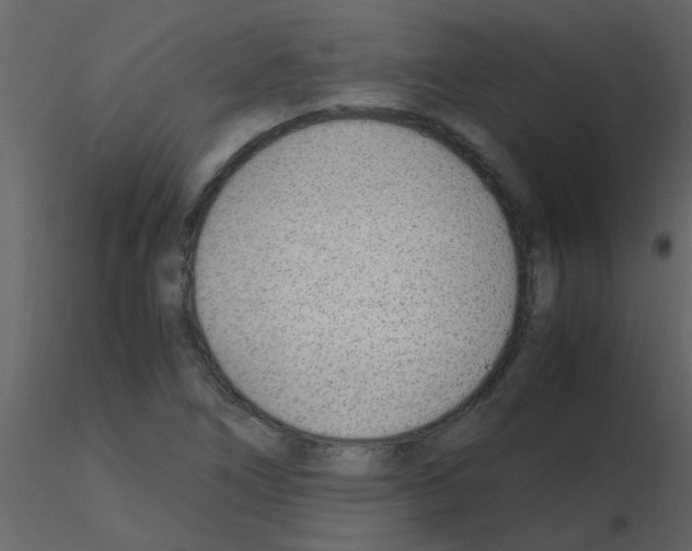 X0000115761266200912241721