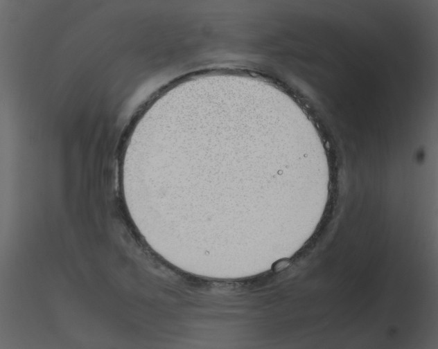 X0000115761267200912241721