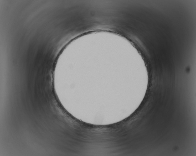 X0000115761268200912241721
