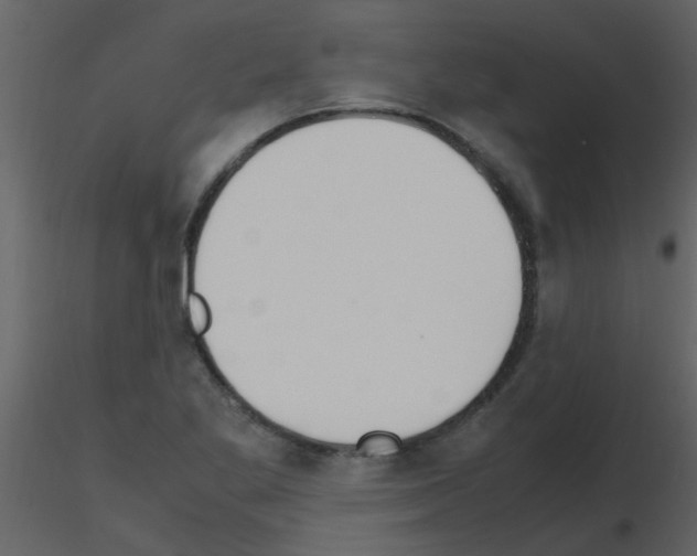 X0000115761269200912241721