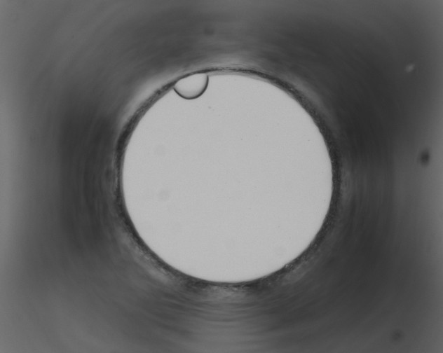 X0000115761270200912241721