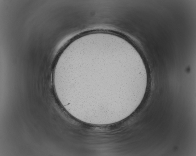 X0000115761271200912241721