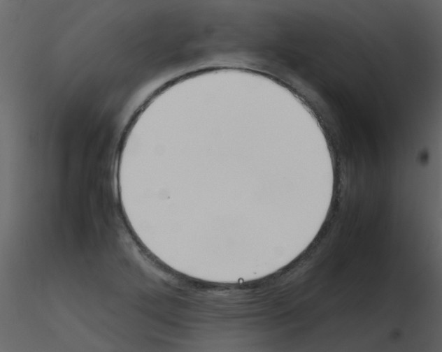 X0000115761272200912241721