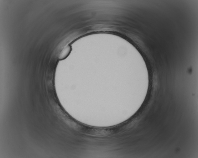 X0000115761273200912241721