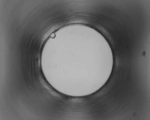 X0000115761274200912241721