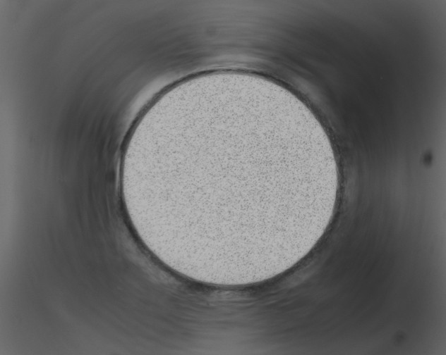 X0000115761275200912241721