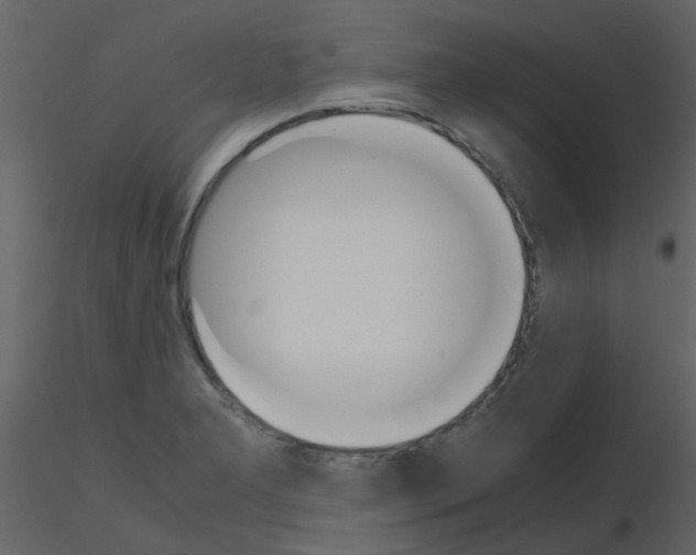 X0000115761277200912241721
