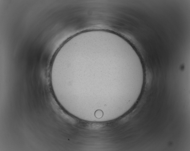 X0000115761278200912241721