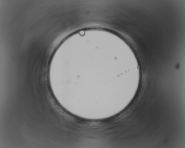 X0000115761279200912241721