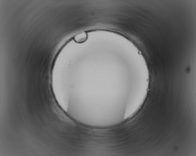 X0000115761280200912241721