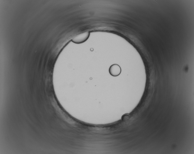 X0000115761281200912241721