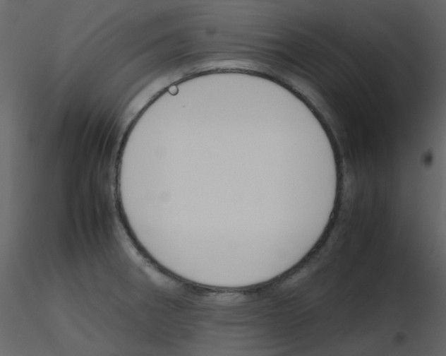 X0000115761282200912241721