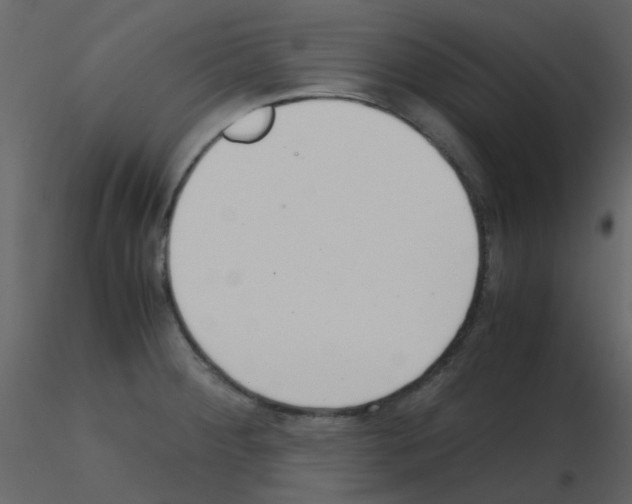 X0000115761284200912241721