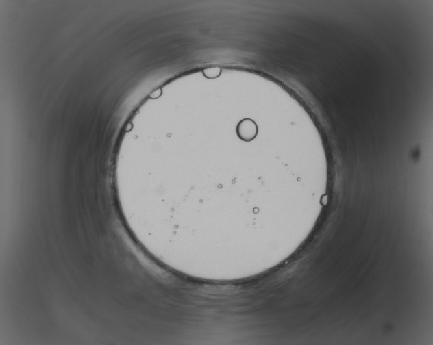 X0000115761285200912241721