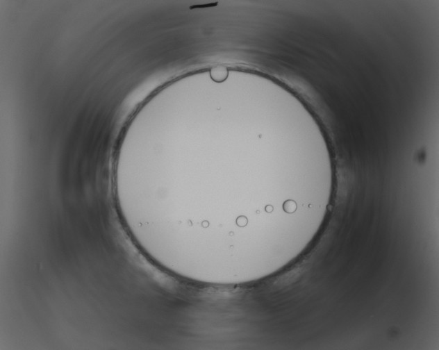 X0000115761286200912241721