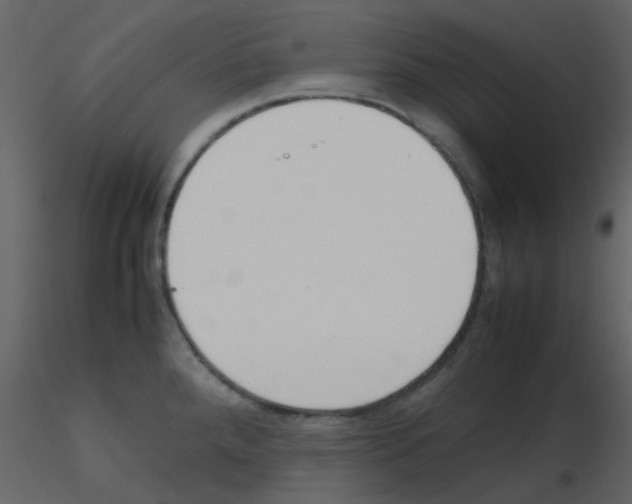 X0000115761288200912241721