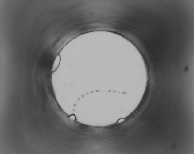 X0000115761289200912241721