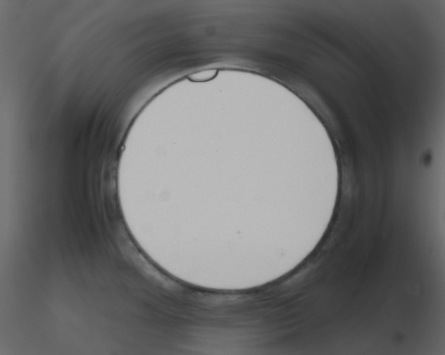 X0000115761292200912241721