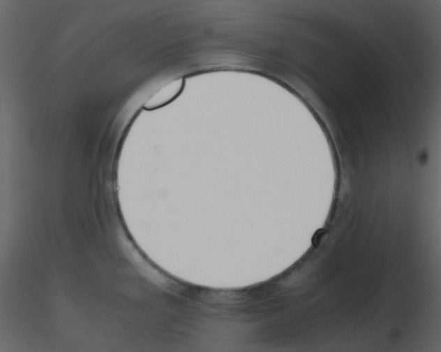 X0000115761293200912241721