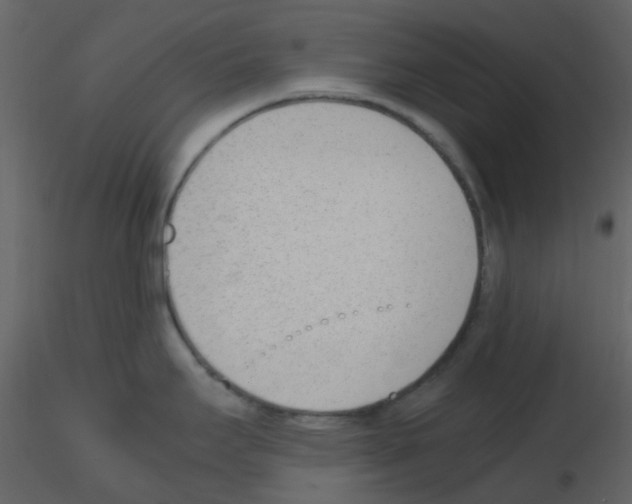 X0000115761295200912241721