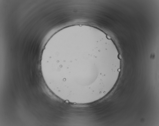 X0000115761296200912241721