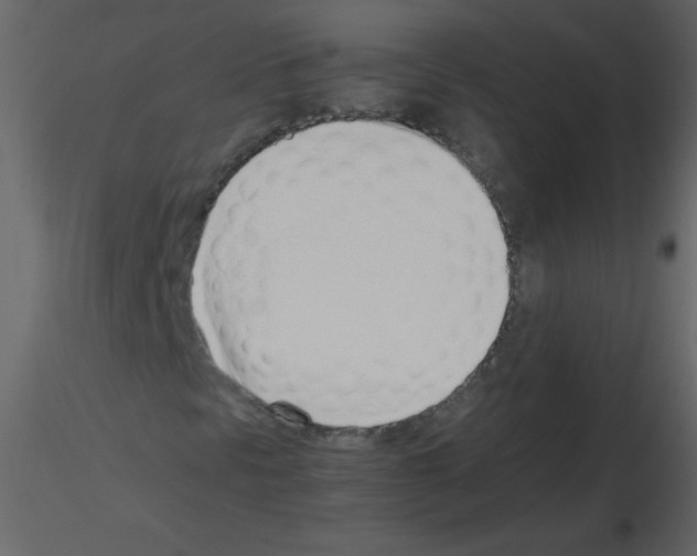 X0000115761297200912241720