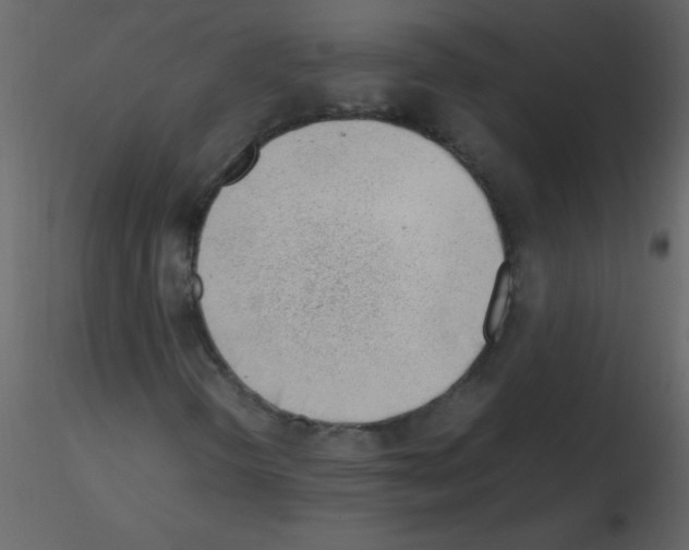 X0000115761298200912241720
