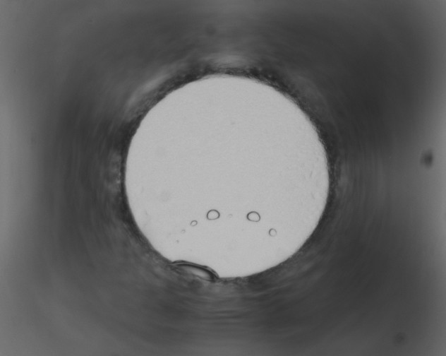 X0000115761301200912241720