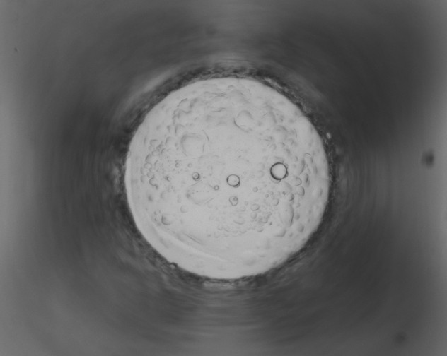 X0000115761302200912241720