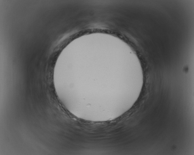 X0000115761303200912241720