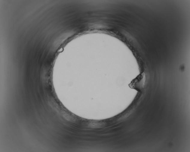 X0000115761305200912241720