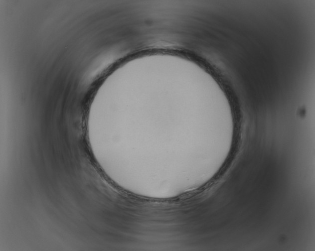 X0000115761306200912241720