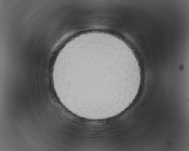 X0000115761307200912241720