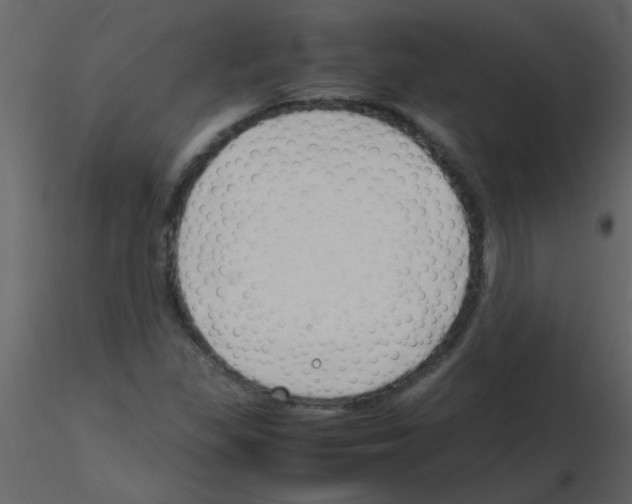 X0000115761309200912241720