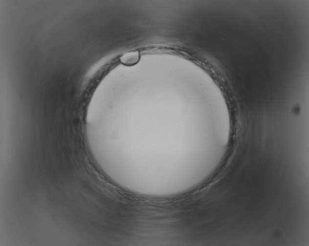 X0000115761310200912241720