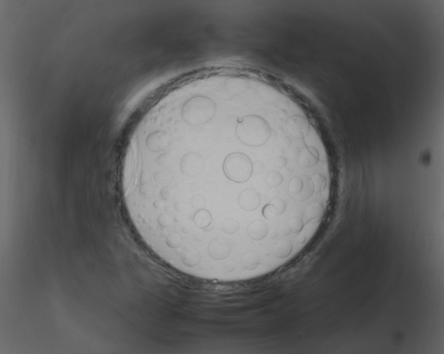 X0000115761311200912241720